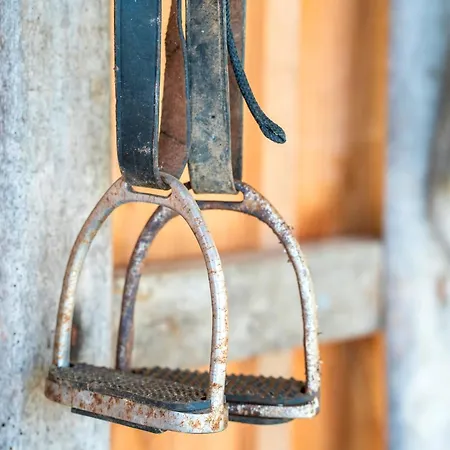 L'escale Du Dernier Pin Horská chata Escalans