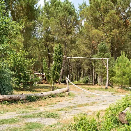 Horská chata L'escale Du Dernier Pin Escalans