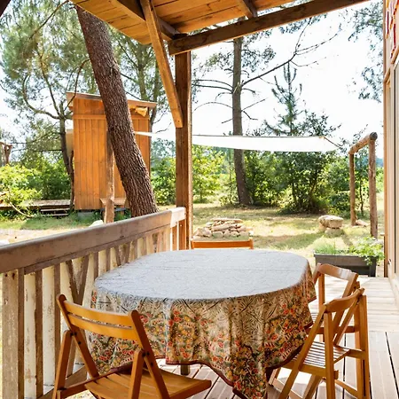 L'escale Du Dernier Pin