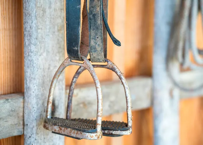 L'escale Du Dernier Pin Chalet Escalans